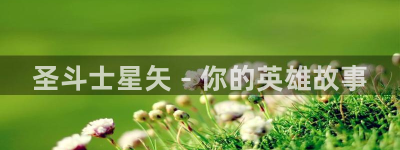 韩漫免费漫画官网：圣斗士星矢 - 你的英雄故事