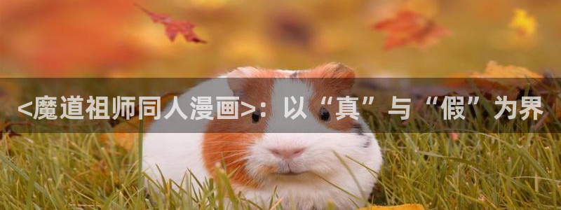 三级韩漫在线观看：<魔道祖师同人漫画>：以“真”与“假”为界