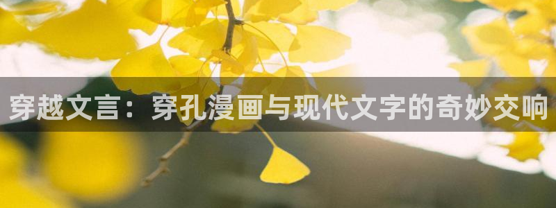漫画免费韩漫网：穿越文言：穿孔漫画与现代文字的奇妙交响