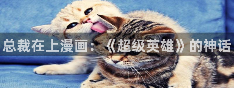 日韩漫画免费观看高清完整版：总裁在上漫画：《超级英雄》的神话