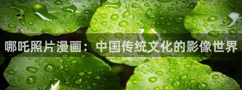 日韩漫画小说：哪吒照片漫画：中国传统文化的影像世界