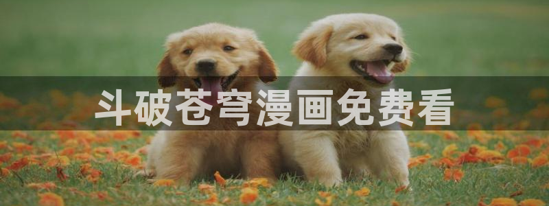 能看的韩漫网站：斗破苍穹漫画免费看