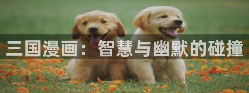 什么网站可以看韩漫免费啊