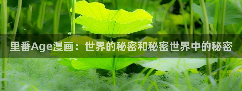 无删减遮羞韩漫大全漫画免费
