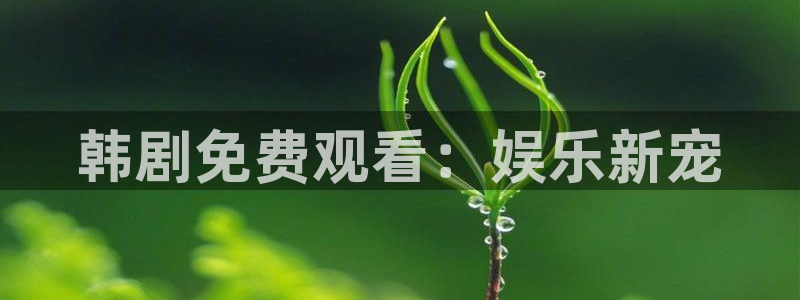 ss漫画韩漫