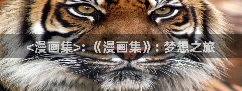 日韩漫画免费看软件：<漫画集>: 《漫画集》: 梦想之旅
