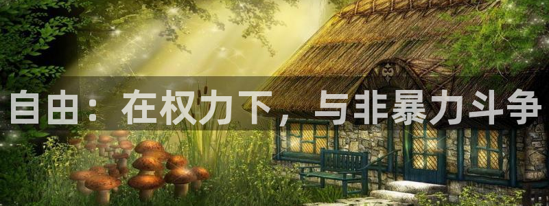 韩漫吧网址：自由：在权力下，与非暴力斗争