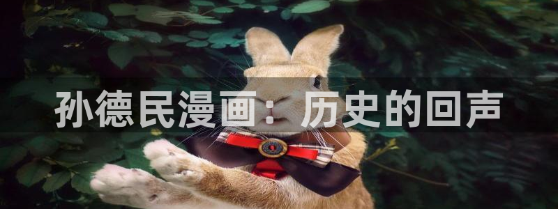 韩国漫画韩漫在线免费阅读：孙德民漫画：历史的回声