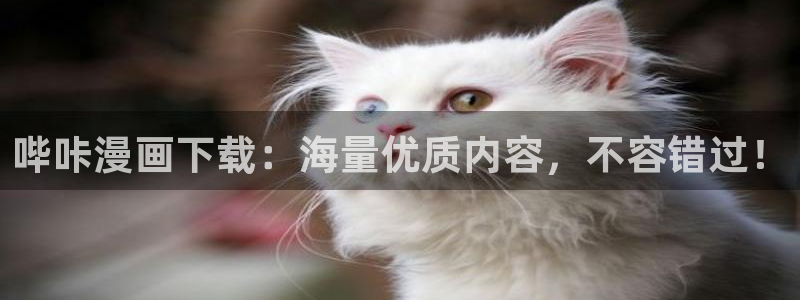 羞羞的韩漫网站：哔咔漫画下载：海量优质内容，不容错过！