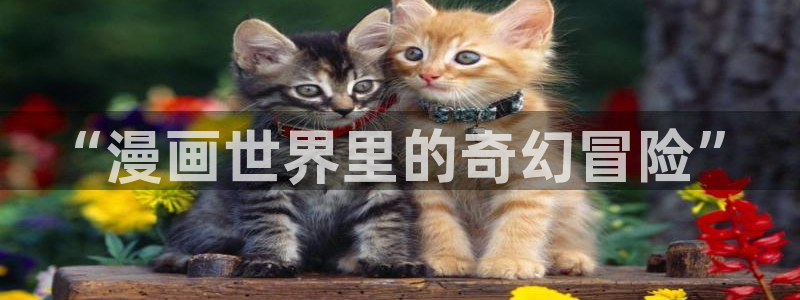 韩漫无删减版第一漫画在线：“漫画世界里的奇幻冒险”