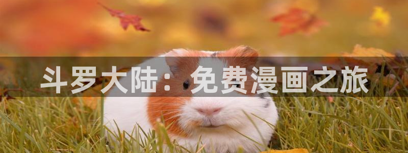 韩漫免费看全集：斗罗大陆：免费漫画之旅